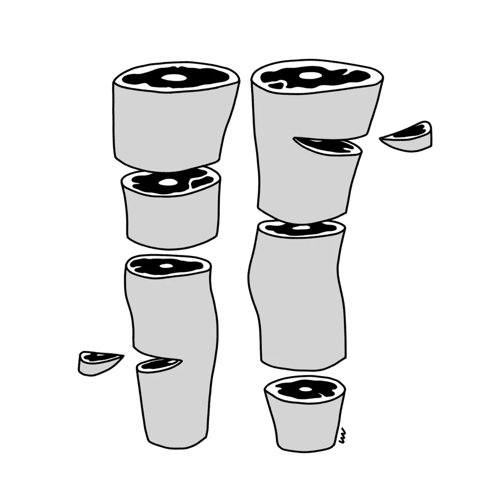 Illustration 20211126